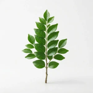 neem